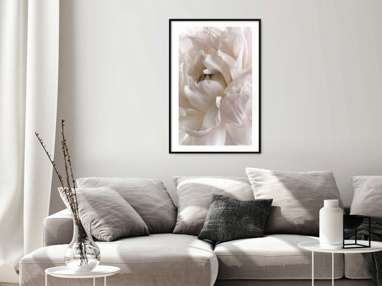 Wall Poster Fluffy Absent-mindedness - white velvety flower in light composition 127832 additionalImage 18