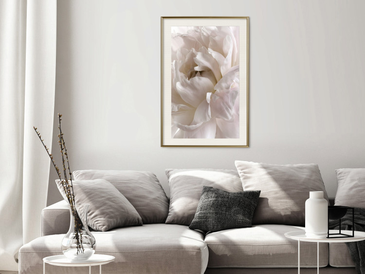 Wall Poster Fluffy Absent-mindedness - white velvety flower in light composition 127832 additionalImage 22