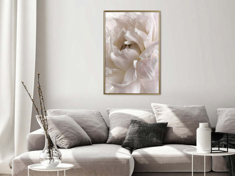 Wall Poster Fluffy Absent-mindedness - white velvety flower in light composition 127832 additionalImage 5