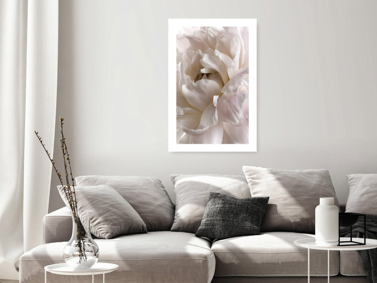 Wall Poster Fluffy Absent-mindedness - white velvety flower in light composition 127832 additionalImage 5