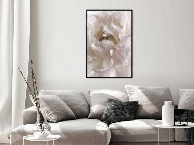 Wall Poster Fluffy Absent-mindedness - white velvety flower in light composition 127832 additionalImage 4