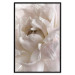 Wall Poster Fluffy Absent-mindedness - white velvety flower in light composition 127832 additionalThumb 16