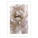 Wall Poster Fluffy Absent-mindedness - white velvety flower in light composition 127832 additionalThumb 25
