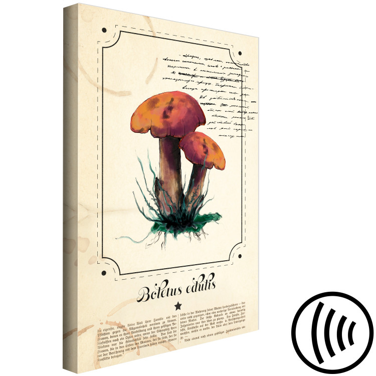 Canvas Art Print Mushroom Atlas (1-part) vertical - mushrooms in Provencal motif 129532 additionalImage 6