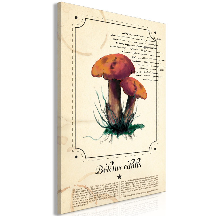 Canvas Art Print Mushroom Atlas (1-part) vertical - mushrooms in Provencal motif 129532 additionalImage 2