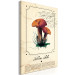 Canvas Art Print Mushroom Atlas (1-part) vertical - mushrooms in Provencal motif 129532 additionalThumb 2
