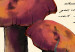 Canvas Art Print Mushroom Atlas (1-part) vertical - mushrooms in Provencal motif 129532 additionalThumb 4