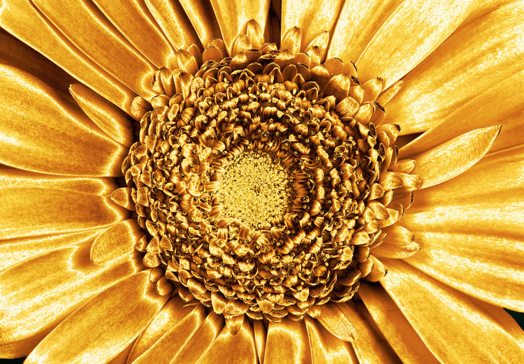 Canvas Golden sunflowers - glamour style triptych with golden flowers 132132 additionalImage 5