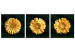 Canvas Golden sunflowers - glamour style triptych with golden flowers 132132