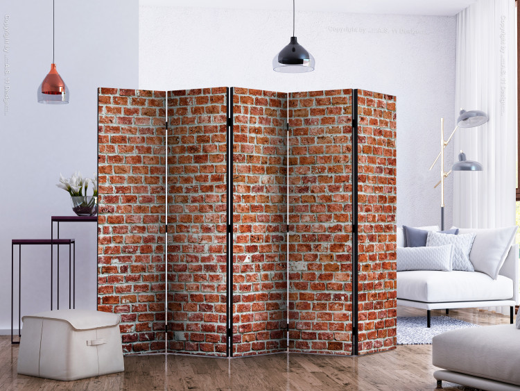 Folding Screen Red Rock II (5-piece) - simple composition with brick texture 133532 additionalImage 2