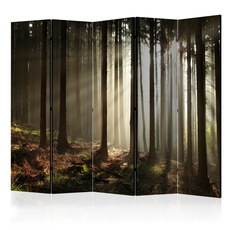 Room Divider Screen Coniferous Forest - Morning Mist II (5-piece) - landscape of forest trees 134132