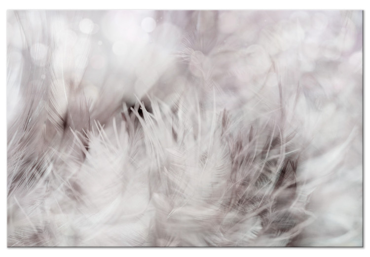 Canvas Print Feathers swaying in the wind - a landscape in beige colours 134232