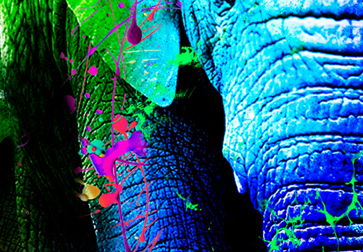 Large canvas print Colorful Elephants [Large Format] 136432 additionalImage 3