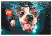 Paint by Number Kit Underwater Dog 138432 additionalThumb 3