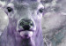 Canvas Print Deer in Violet (1-piece) Wide - abstraction with animal 142532 additionalThumb 4