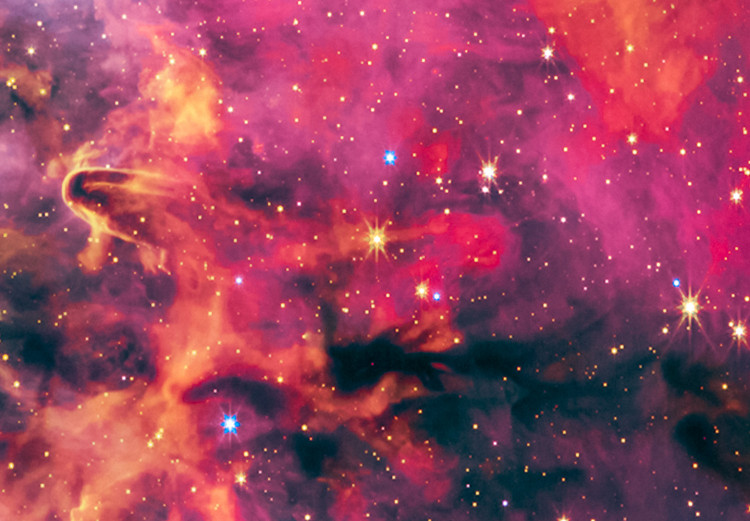 Canvas Print Carina Nebula - View of the Cosmos From Jamess Webb’s Telescope 146232 additionalImage 4
