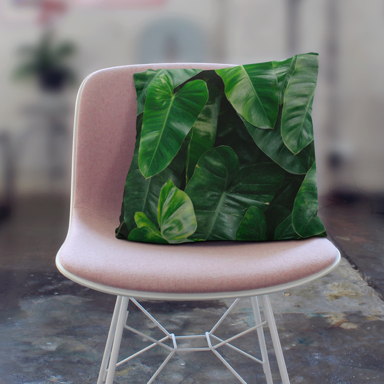 Decorative Microfiber Pillow Faces of greenery - a plant composition with rich Philodendron detailing cushions 146832 additionalImage 6