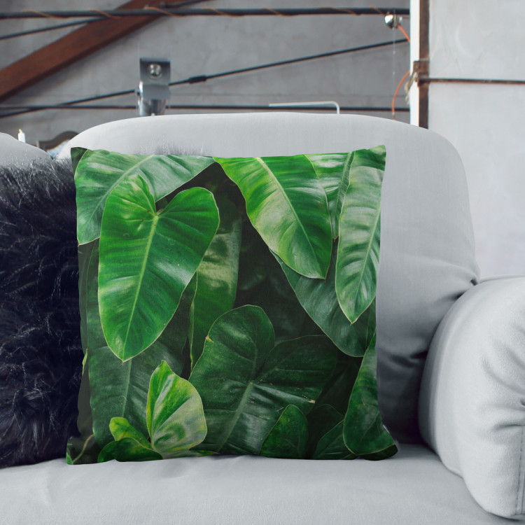 Decorative Microfiber Pillow Faces of greenery - a plant composition with rich Philodendron detailing cushions 146832 additionalImage 2