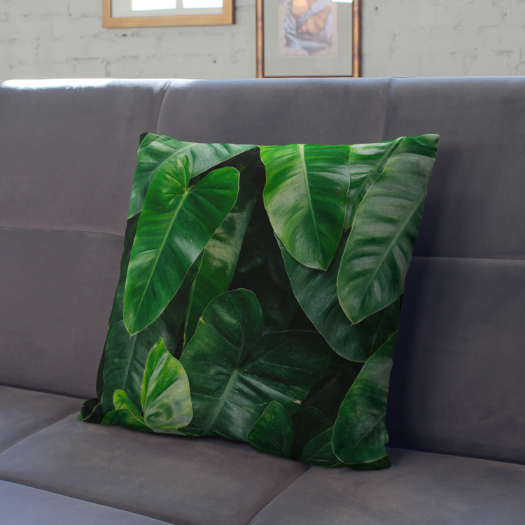Decorative Microfiber Pillow Faces of greenery - a plant composition with rich Philodendron detailing cushions 146832 additionalImage 5
