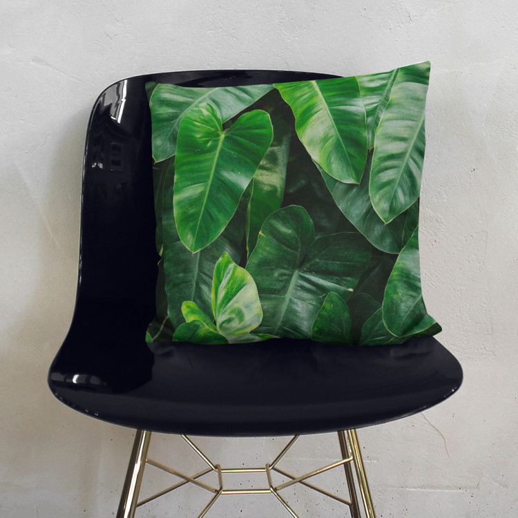 Decorative Microfiber Pillow Faces of greenery - a plant composition with rich Philodendron detailing cushions 146832 additionalImage 4