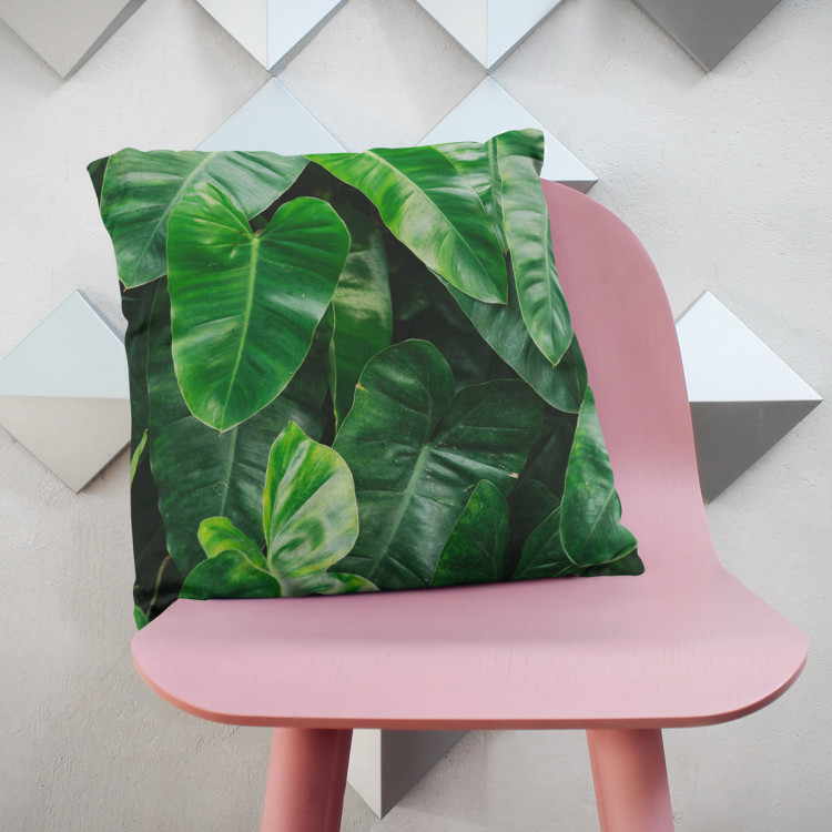 Decorative Microfiber Pillow Faces of greenery - a plant composition with rich Philodendron detailing cushions 146832 additionalImage 3
