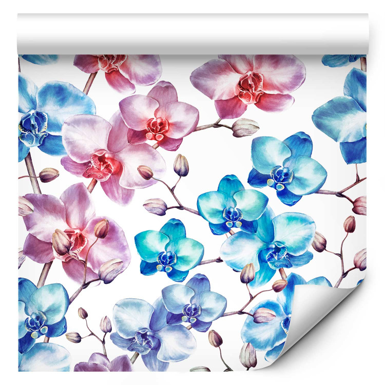 Modern Wallpaper Beautiful Orchid - Pink and Blue Flowers on a White Background 150032 additionalImage 1