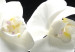 Canvas Majestic orchids 50432 additionalThumb 4