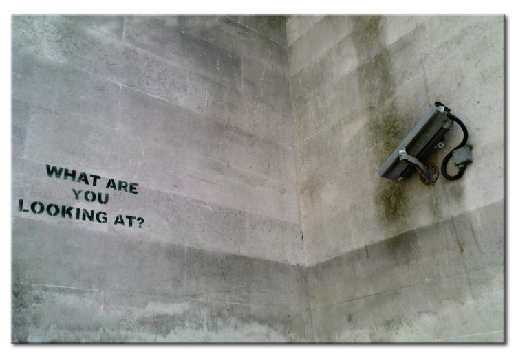 Canvas Print What are you looking at? (Banksy) 58932