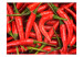 Photo Wallpaper Chili pepper - background 59832 additionalThumb 1