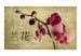 Wall Mural Japanese orchid 60232 additionalThumb 1