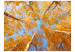 Photo Wallpaper Autumnal treetops 60532 additionalThumb 1