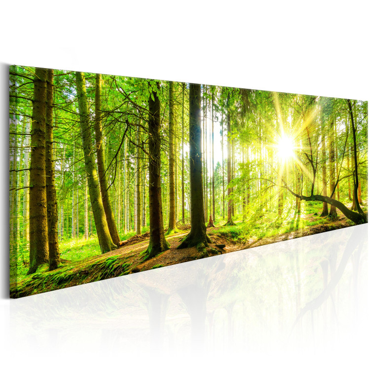 Canvas Print Majestic Trees 89032 additionalImage 2