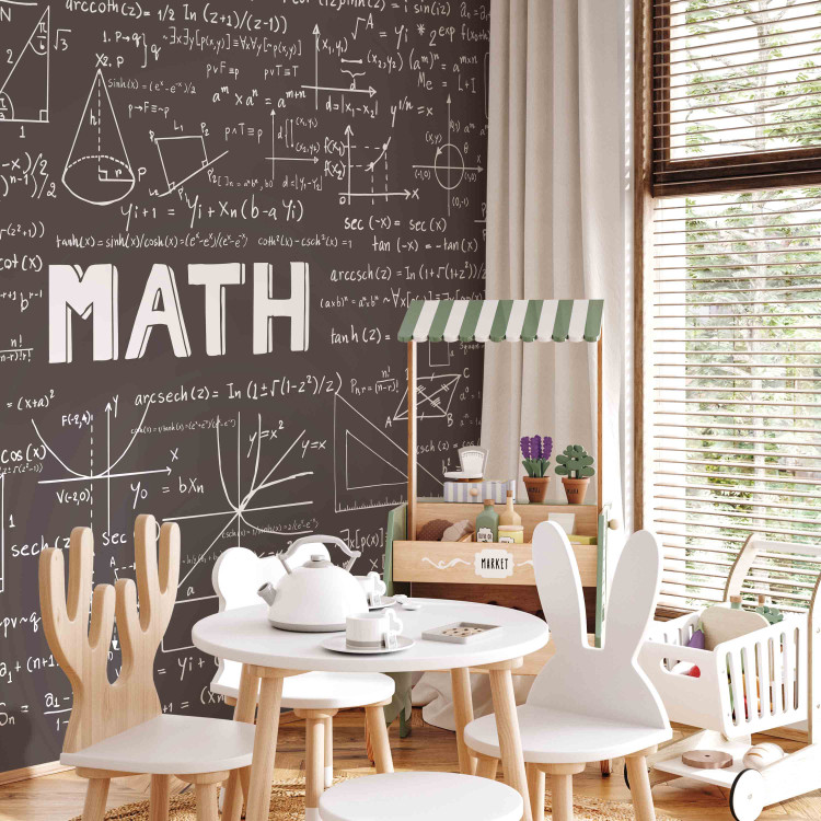 Photo Wallpaper Mathematics - blackboard with writing and mathematical formulas for a room 90332 additionalImage 4