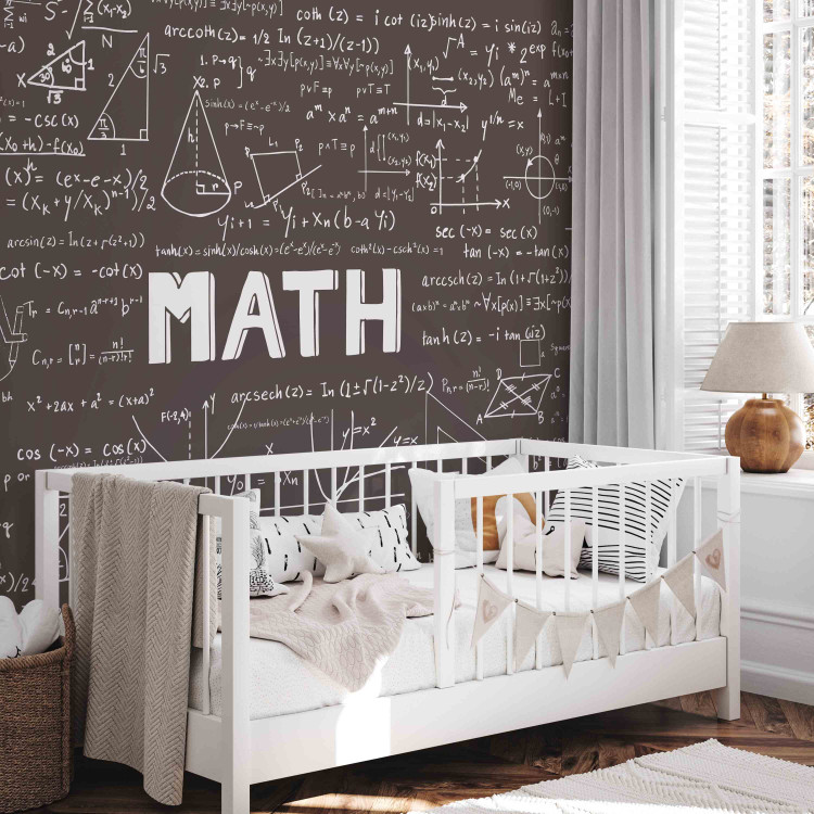 Photo Wallpaper Mathematics - blackboard with writing and mathematical formulas for a room 90332 additionalImage 6