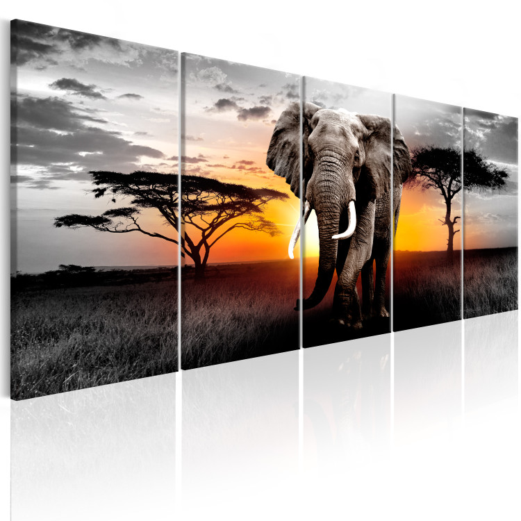 Canvas Print Beauty of Africa 98632 additionalImage 2