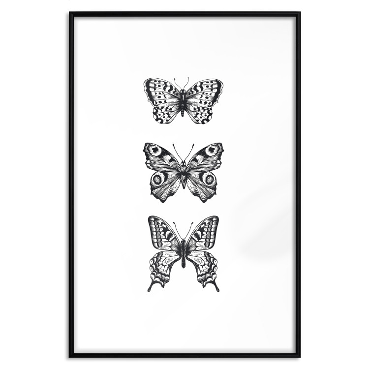 Poster Three Different Butterflies - simple black and white composition with winged insects 116942 additionalImage 27