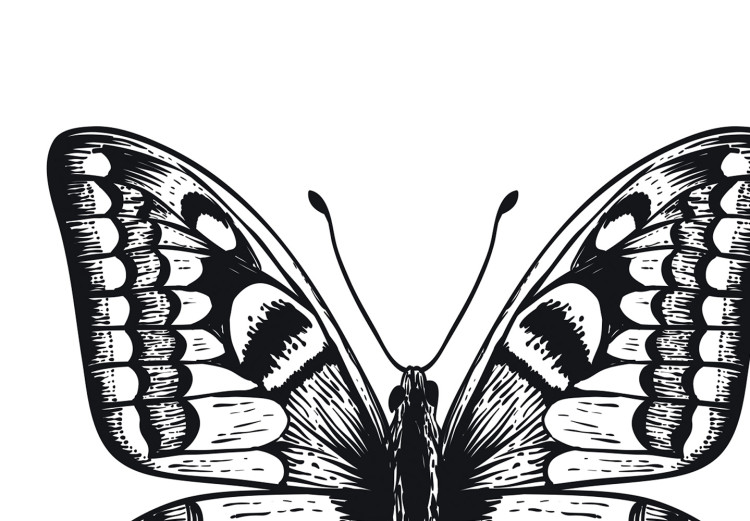 Poster Three Different Butterflies - simple black and white composition with winged insects 116942 additionalImage 8