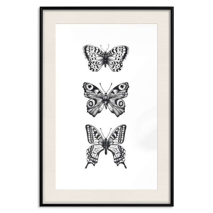 Poster Three Different Butterflies - simple black and white composition with winged insects 116942 additionalImage 18