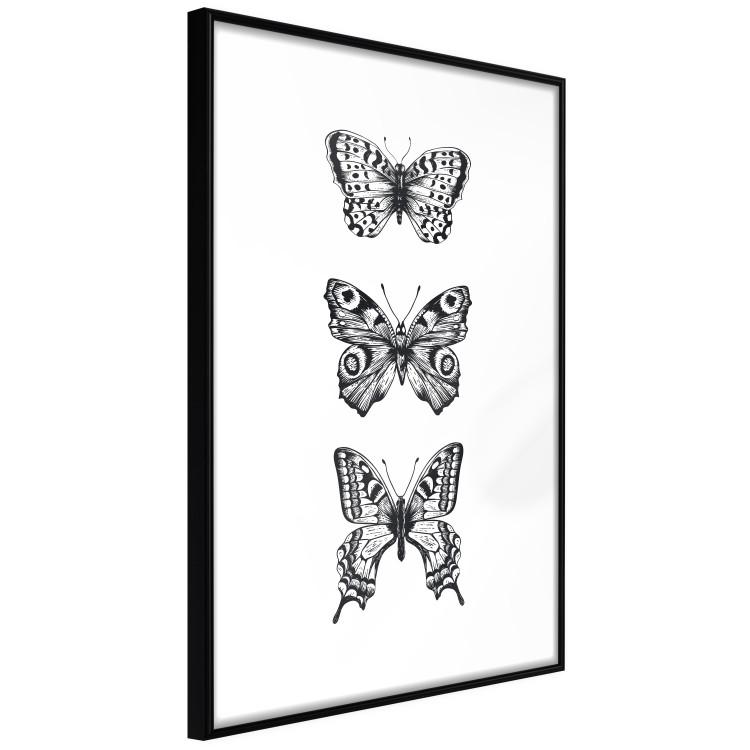 Poster gallery Butterflies II 124852 additionalImage 3