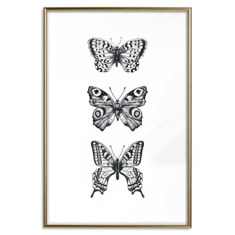 Poster Three Different Butterflies - simple black and white composition with winged insects 116942 additionalImage 26