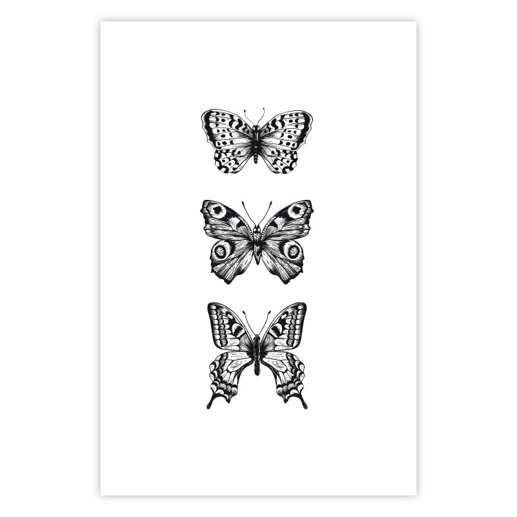 Poster Three Different Butterflies - simple black and white composition with winged insects 116942 additionalImage 17