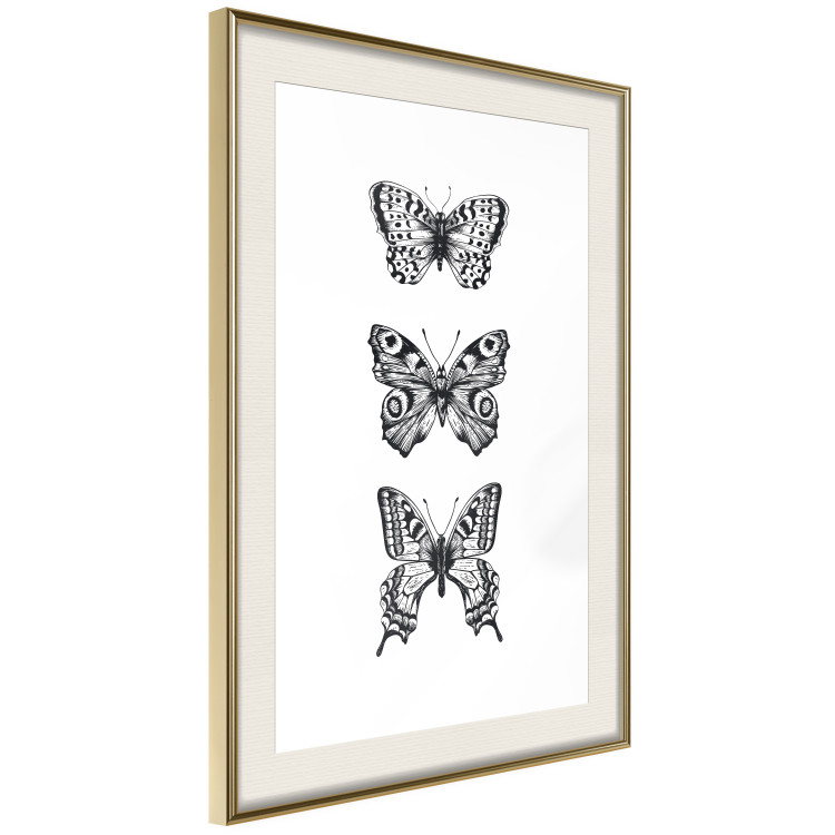 Poster Three Different Butterflies - simple black and white composition with winged insects 116942 additionalImage 2