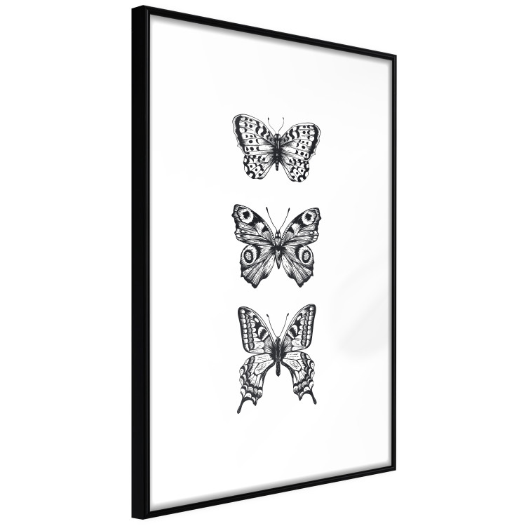 Poster Three Different Butterflies - simple black and white composition with winged insects 116942 additionalImage 11