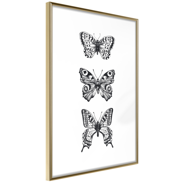 Poster Three Different Butterflies - simple black and white composition with winged insects 116942 additionalImage 12