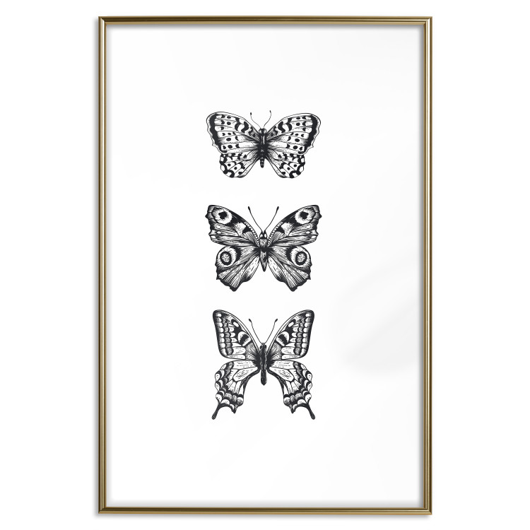 Poster Three Different Butterflies - simple black and white composition with winged insects 116942 additionalImage 19