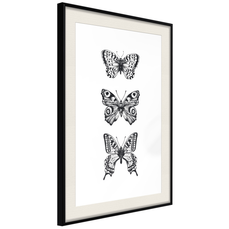 Poster Three Different Butterflies - simple black and white composition with winged insects 116942 additionalImage 3