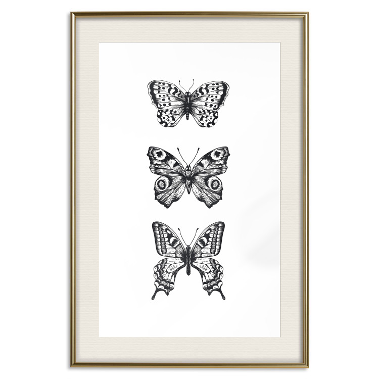 Poster Three Different Butterflies - simple black and white composition with winged insects 116942 additionalImage 20
