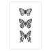 Poster Three Different Butterflies - simple black and white composition with winged insects 116942