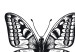 Poster Three Different Butterflies - simple black and white composition with winged insects 116942 additionalThumb 8