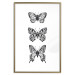 Poster Three Different Butterflies - simple black and white composition with winged insects 116942 additionalThumb 26